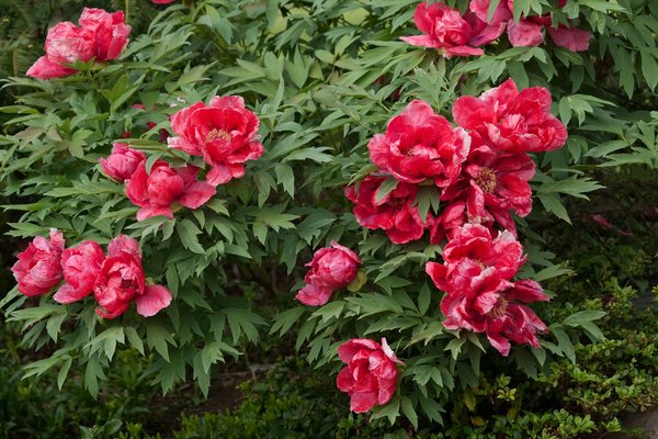 Comment déménager une installation artistique nécessitant une configuration spécifique ?