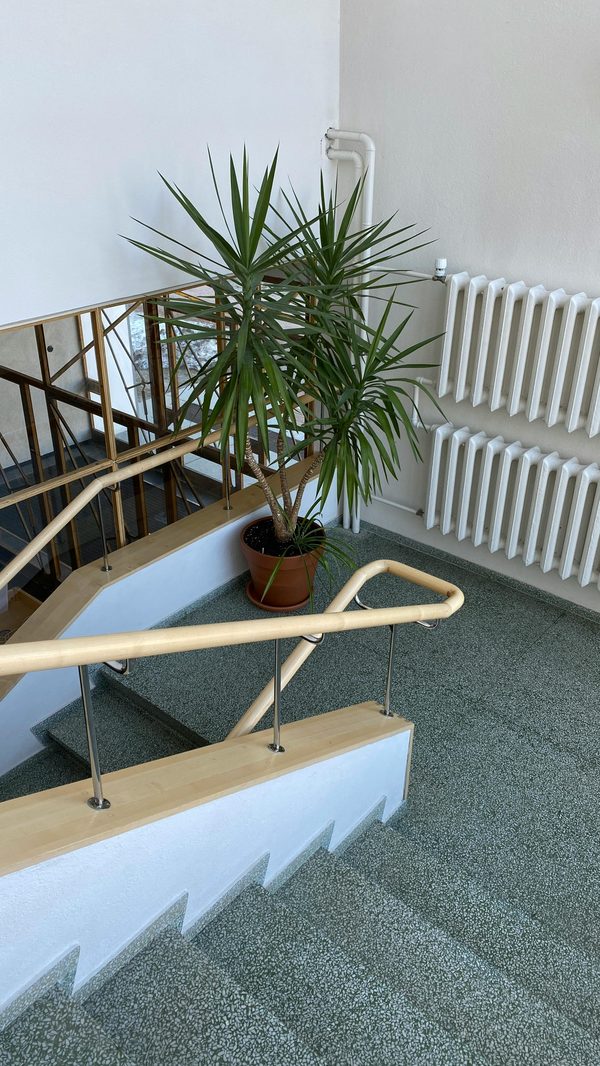 Radiateur occasion en fonte : guide pour faire le bon choix