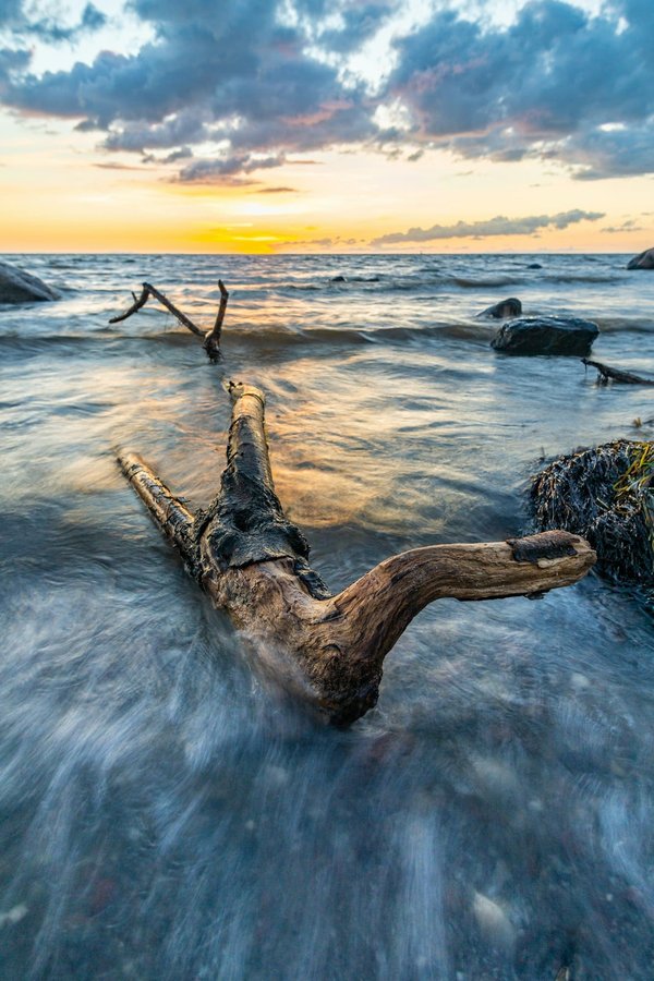 Trouvez votre poêle à granulés écologique à lille avec home Éco