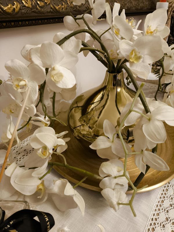 Maison natura : l'art de décorer avec des vases uniques