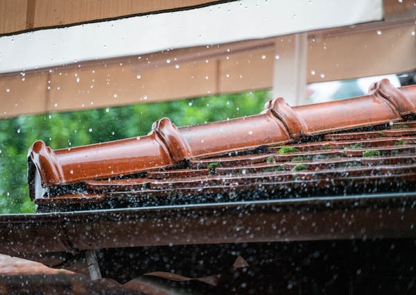 Récupérateur d'eau de pluie : votre allié contre le gaspillage